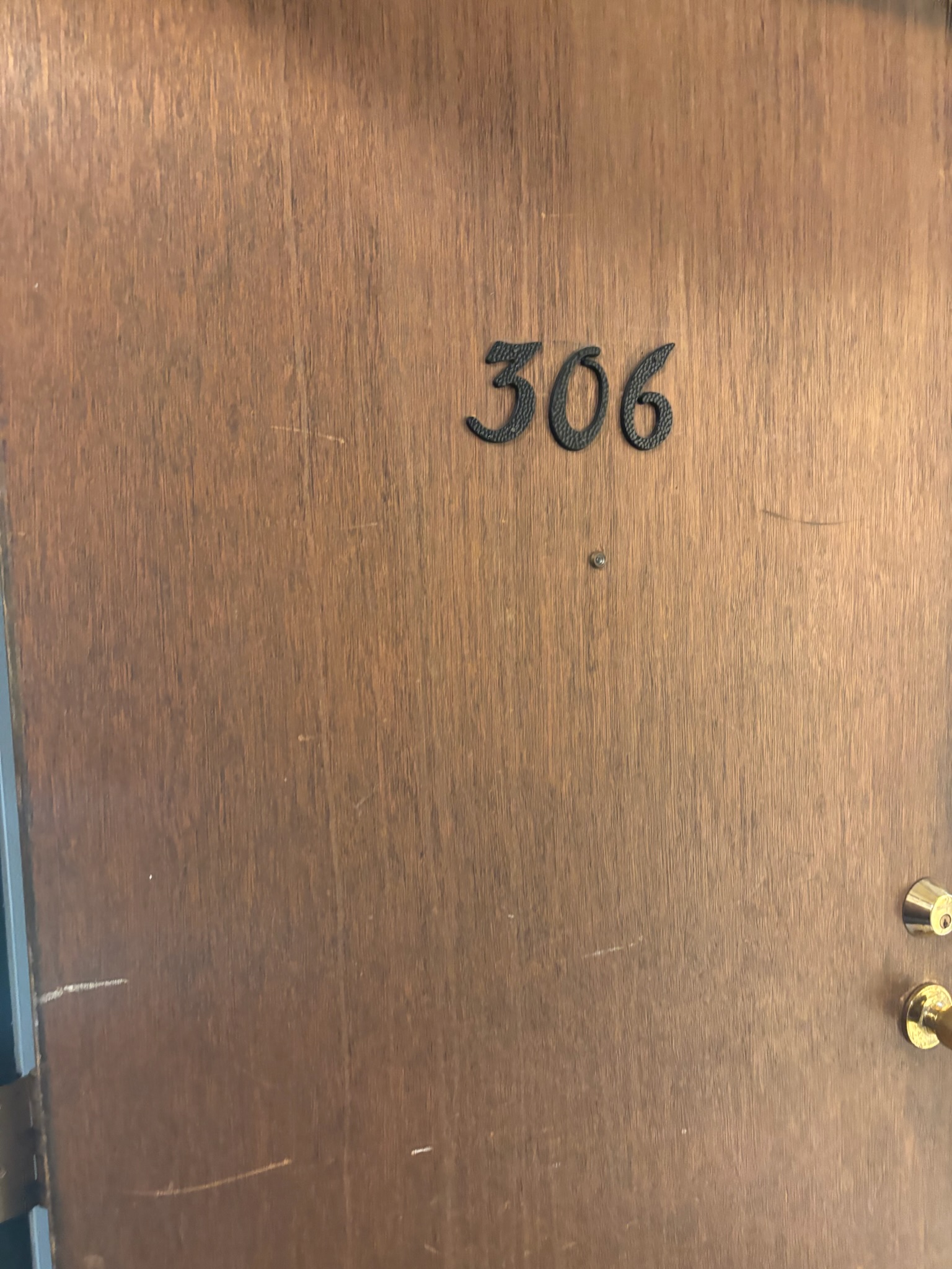 134 E Johnson - Unit 306
