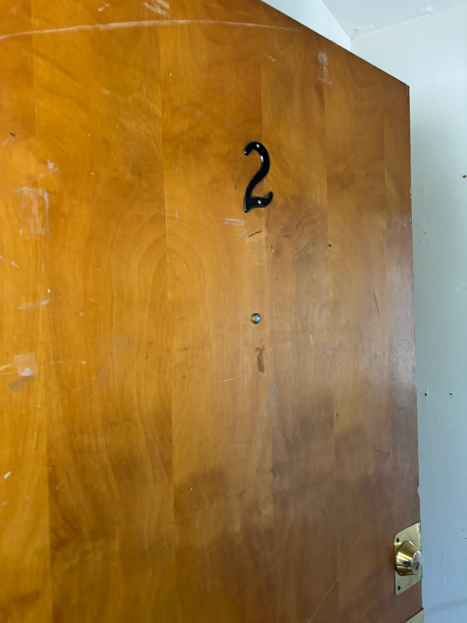 319 N Pinckney - Unit 2